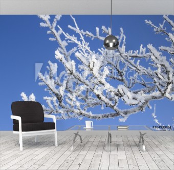 Picture of Ramo innevato